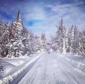 Meet your Posher, Jeffrey